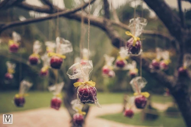 bodas-de-prata-cristina-e-paulo-chacara-panorama-lounge-12