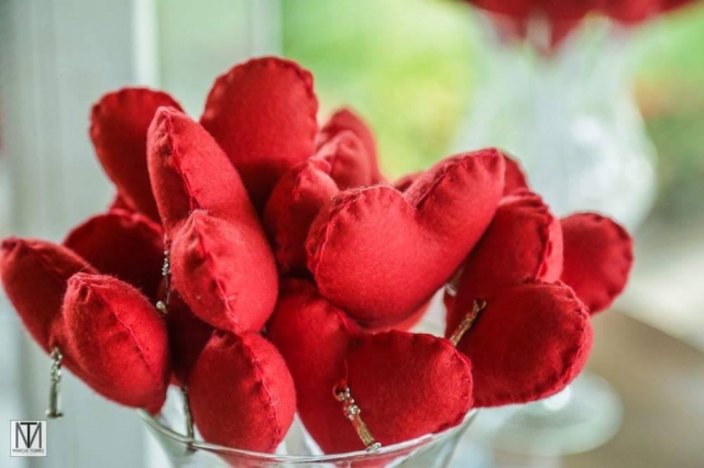 bodas-de-prata-cristina-e-paulo-chacara-panorama-lounge-31