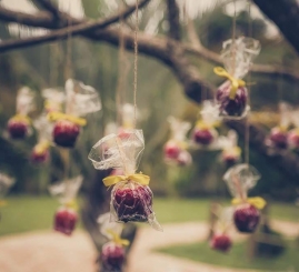 bodas-de-prata-cristina-e-paulo-chacara-panorama-lounge-12