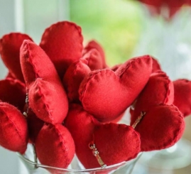 bodas-de-prata-cristina-e-paulo-chacara-panorama-lounge-31